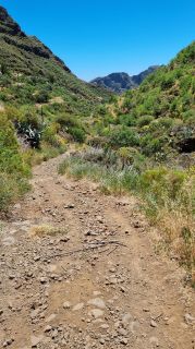 2023-04-GranCan-Guayadeque-087.jpg